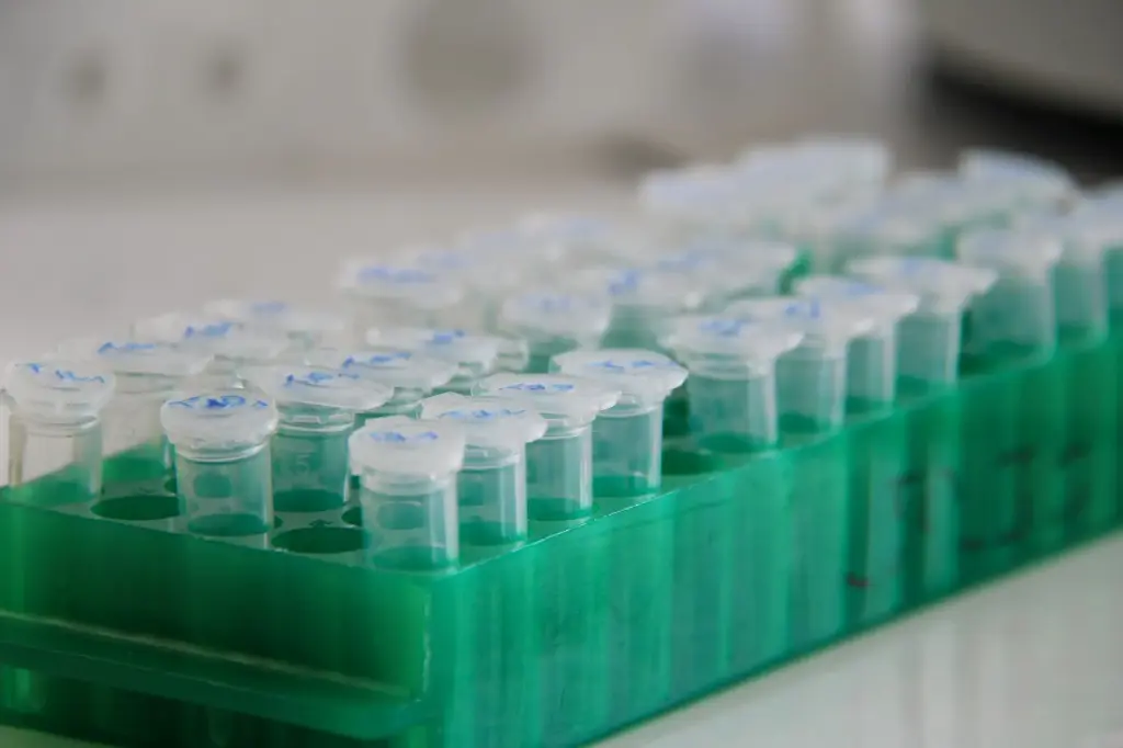 HiFi DNA Polymerase Pfu-Ssod7