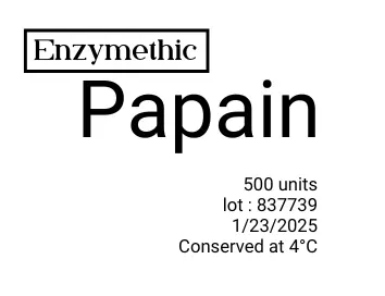 Papain