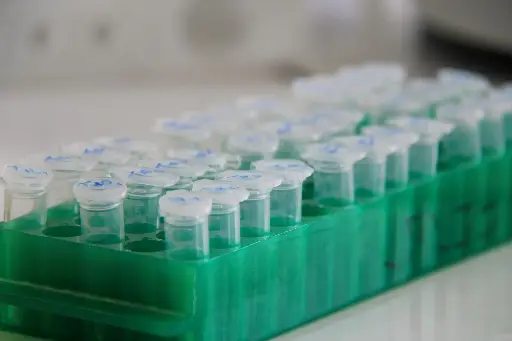 TAQ polymerase